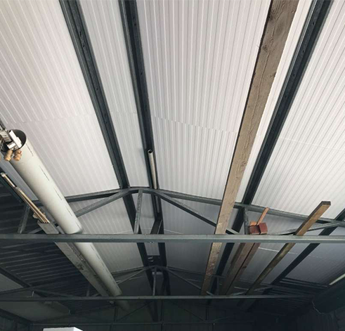 Final Thoughts – Insulate Your Bundaberg Shed with Insulsqueeze